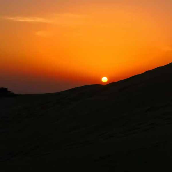 Jaisalmer Sightseeing Tour